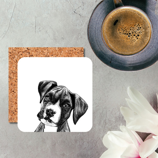 Boxer Coaster