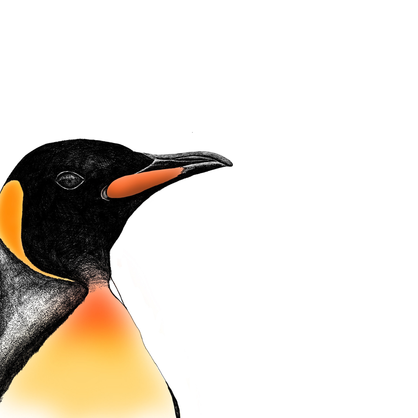 Personalised Penguin Card for Dad | Wildlife Illustration Greeting Card