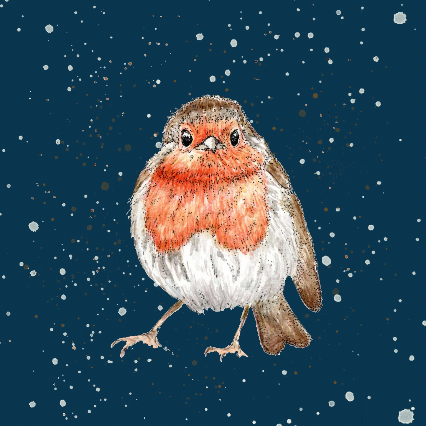 Watercolour Robin Red Breast Card