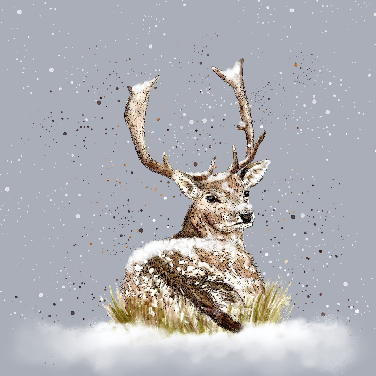Stag in Snow Card