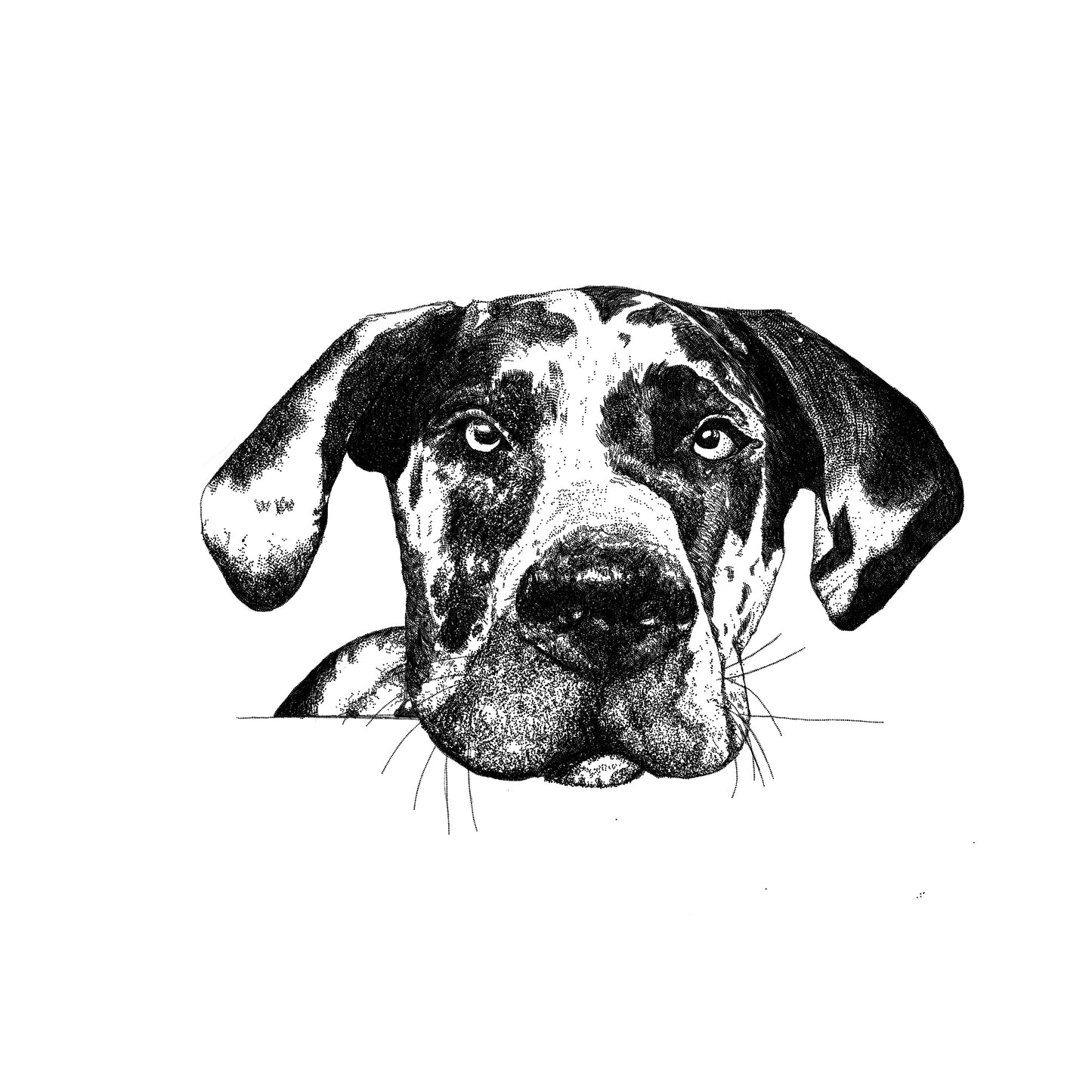 Great Dane Greeting Card