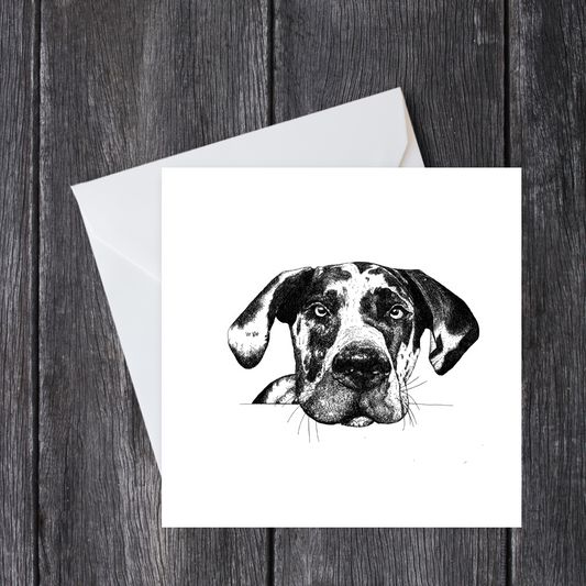Great Dane Greeting Card