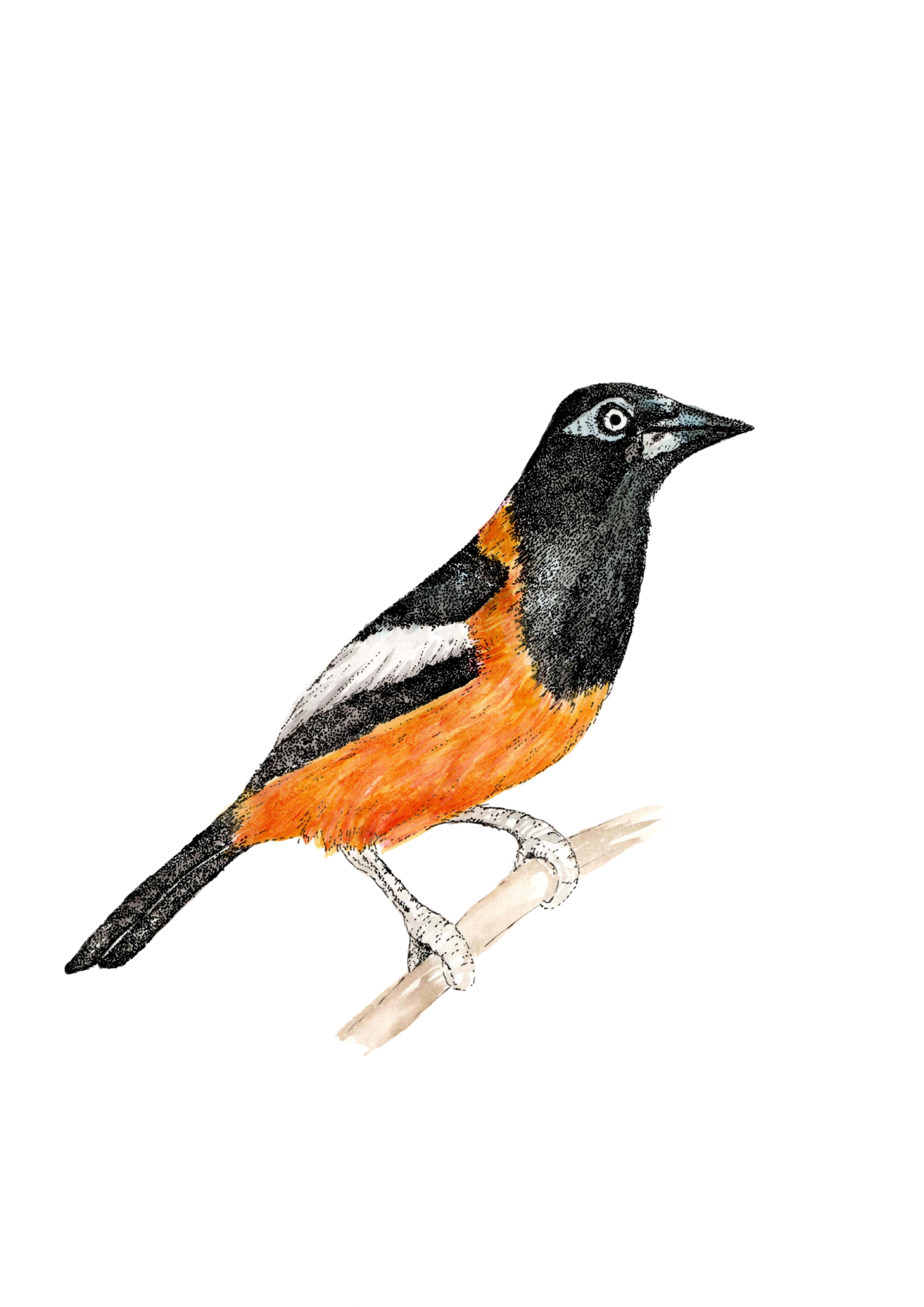 Bitdtober Art Prints *Limited Prints*