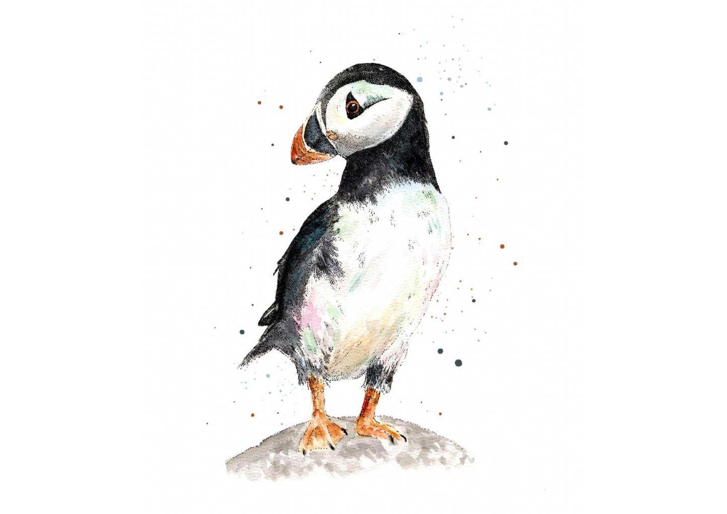 Watercolour Puffin on a Rock Card