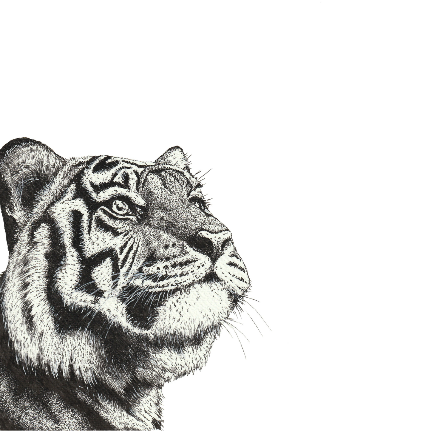 Personalised Tiger Card for Dad | Wildlife Illustration Greeting Card