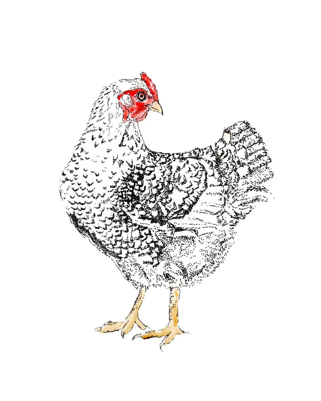 Bitdtober Art Prints *Limited Prints*