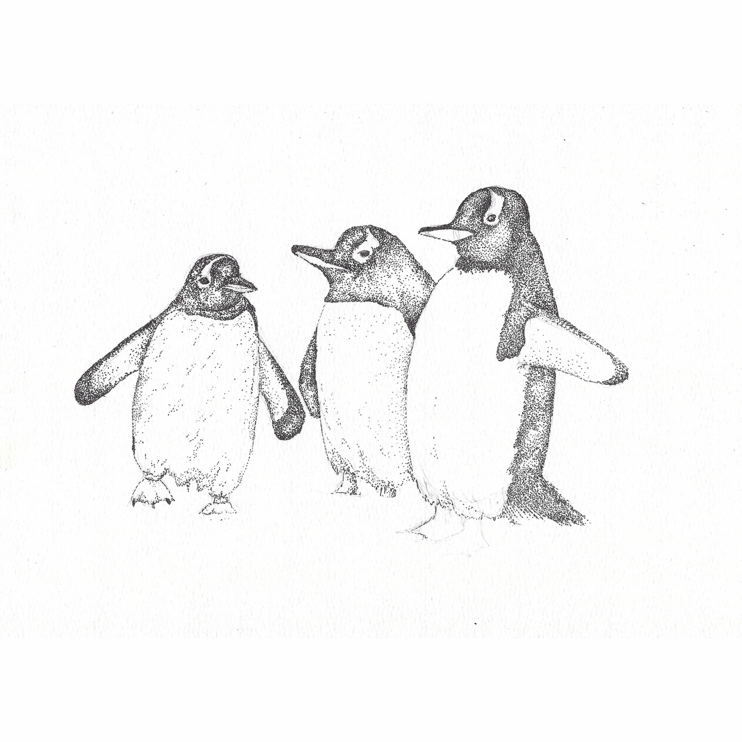 Three of Kind Penguin Card