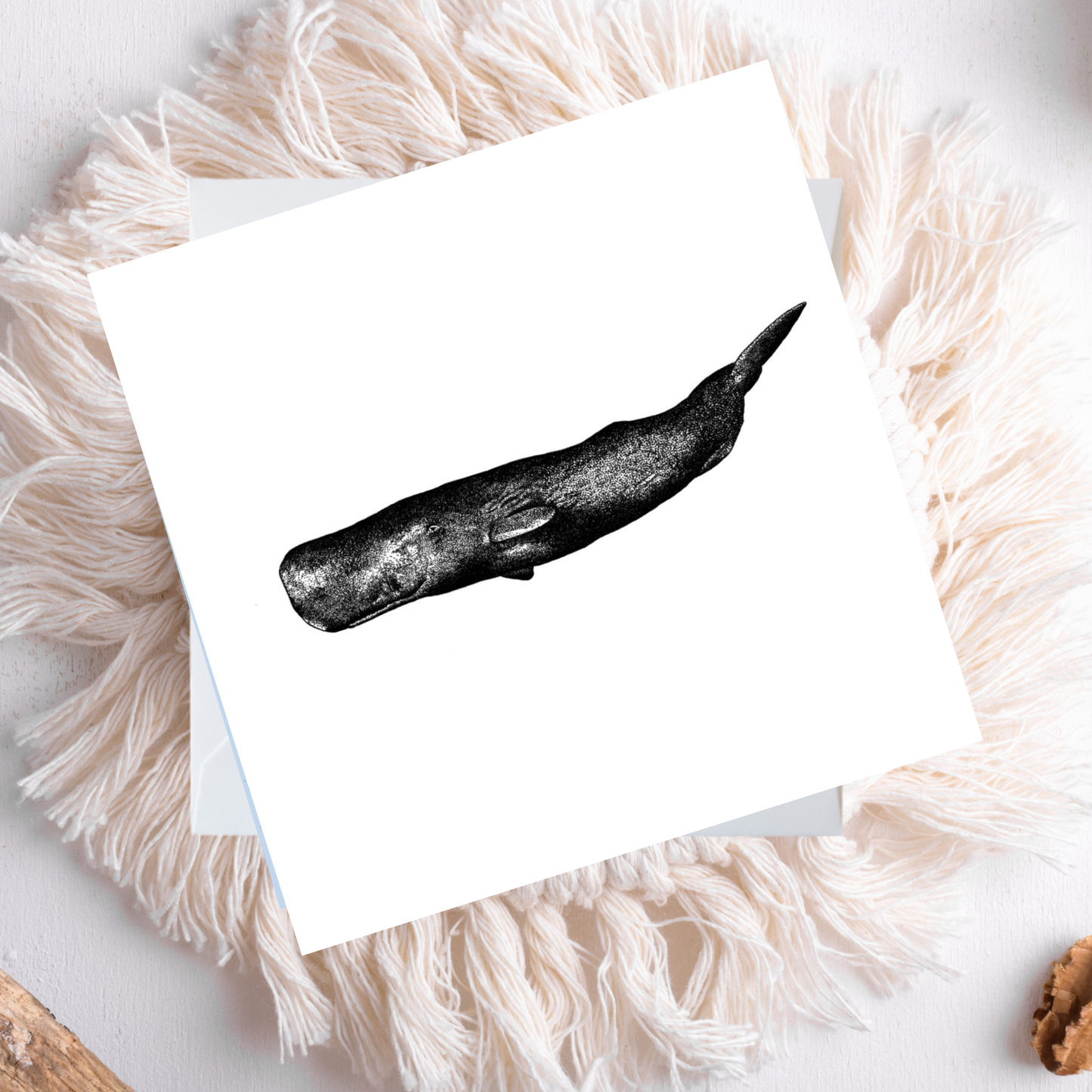 Sperm Whale Card