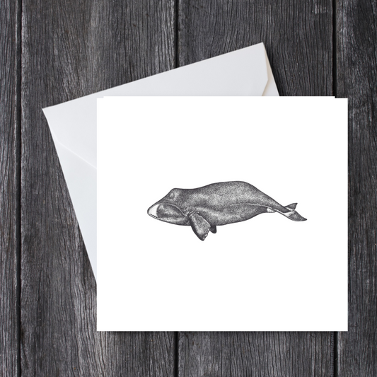 Bowhead Whale Card