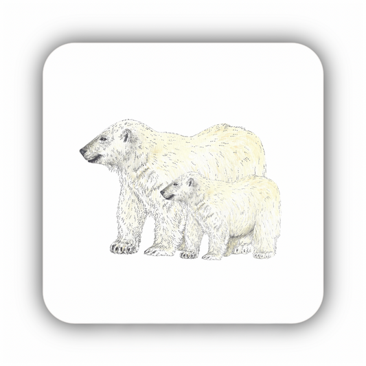 Watercolour Polar Bear and Cub Coaster