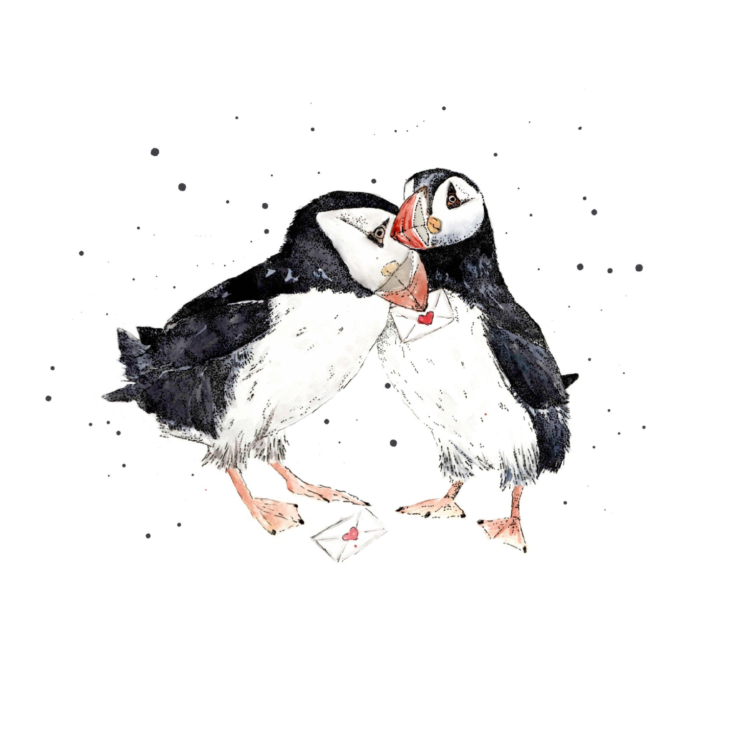 Watercolour Puffins – Love Letters From The Wild Card