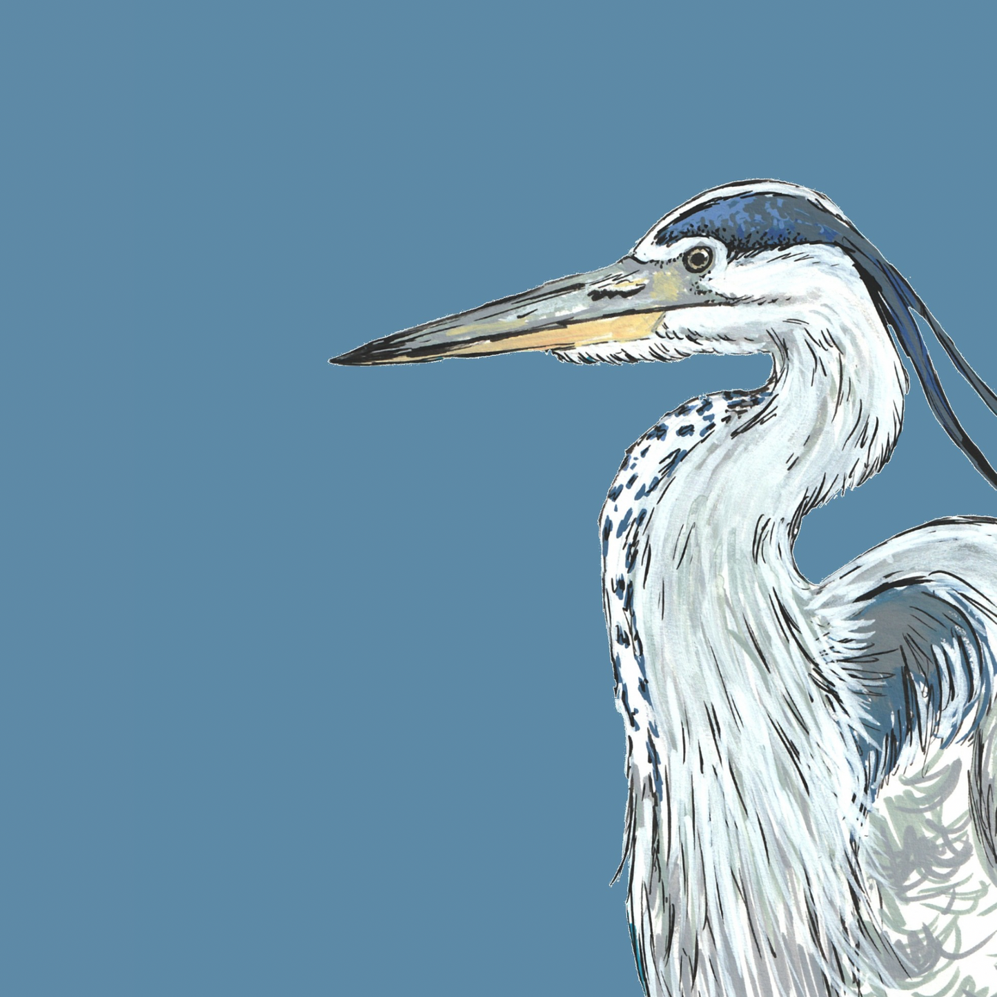 Heron British Bird Card