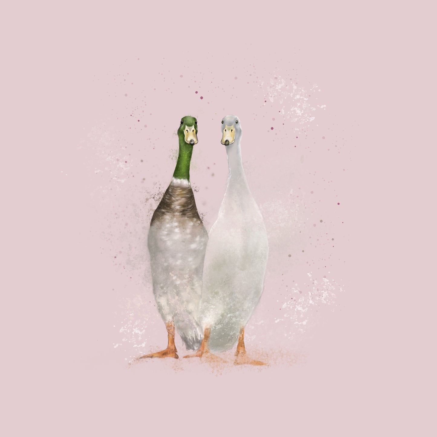 Runner Ducks Card