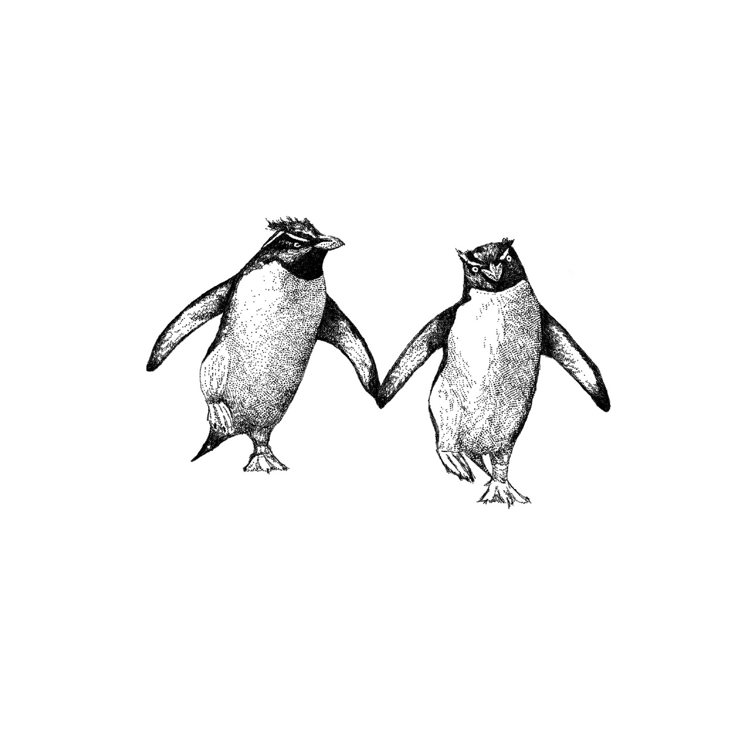 Emperor Penguins Card