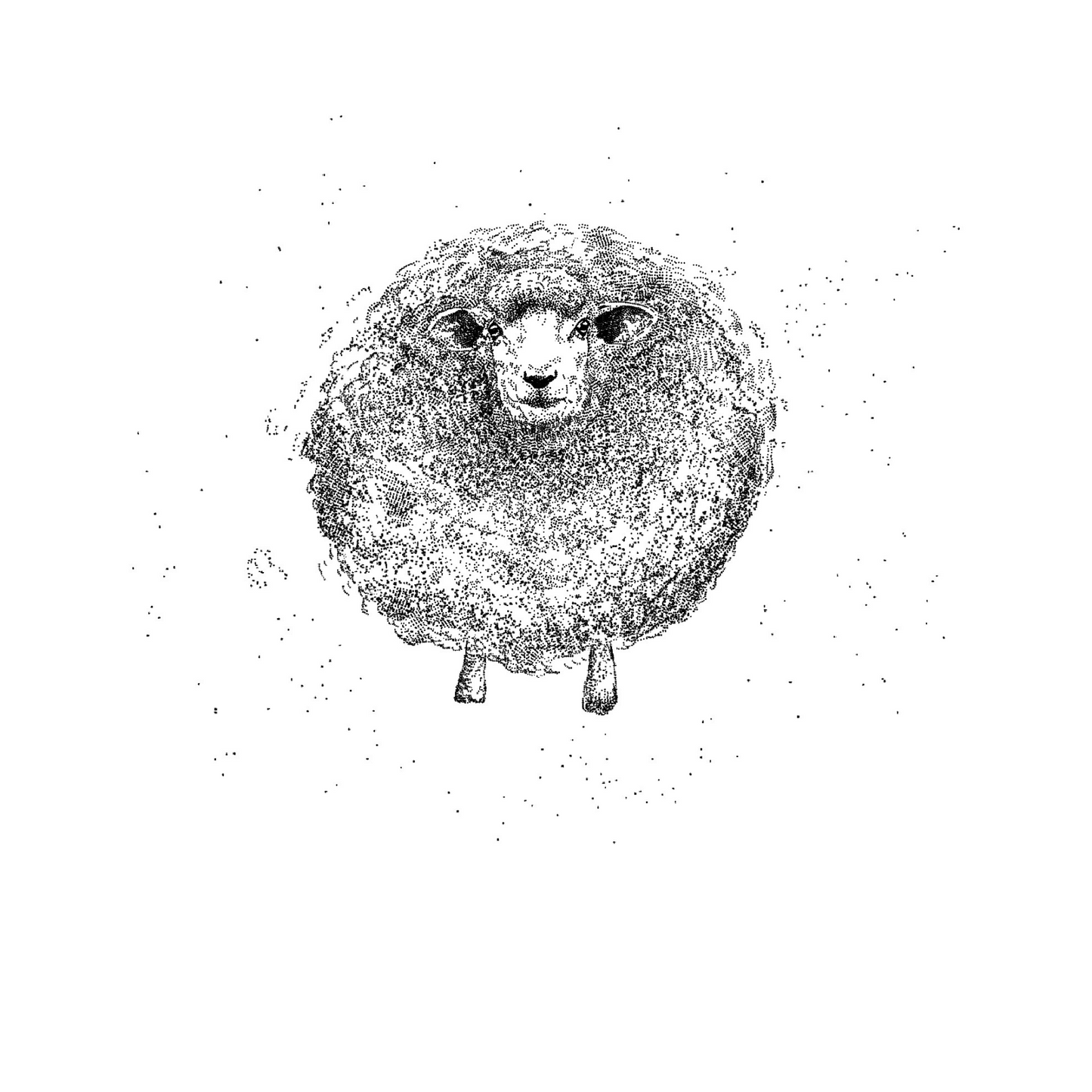 Black & White Sheep Print