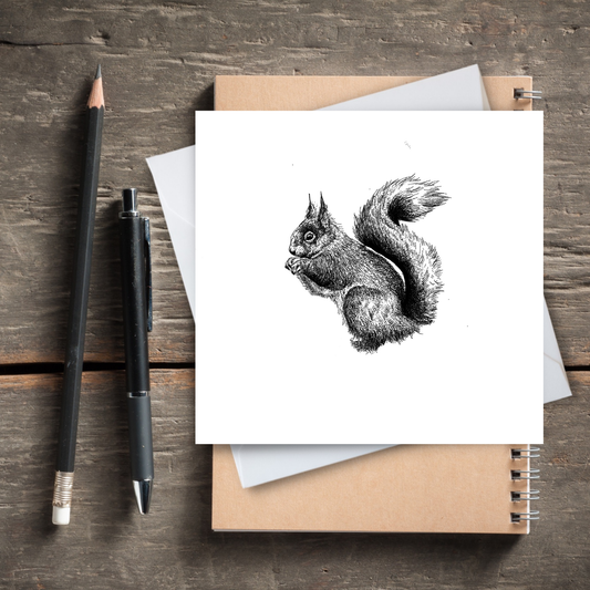 Black & White Squirrel Card