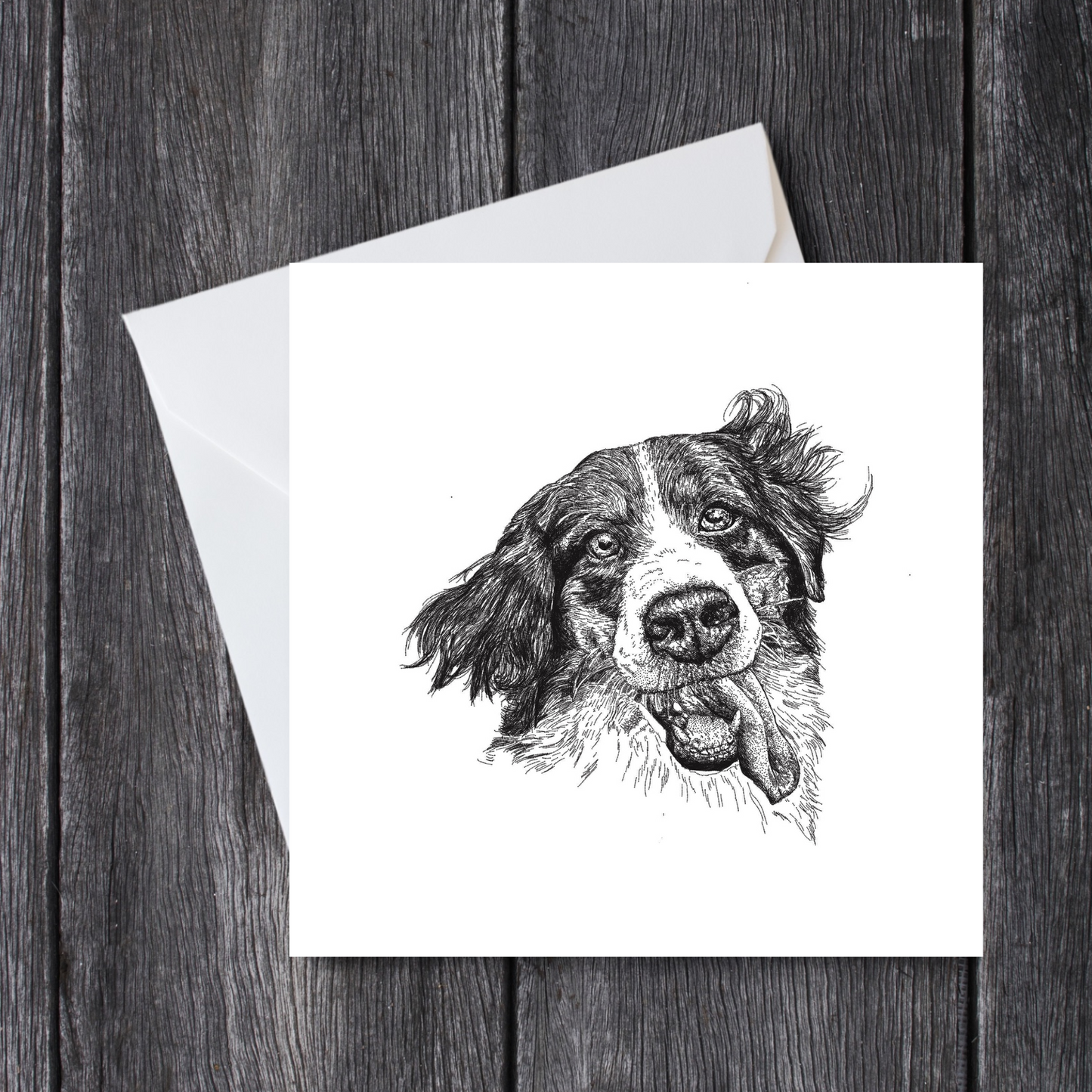 Border Collie Greeting Card