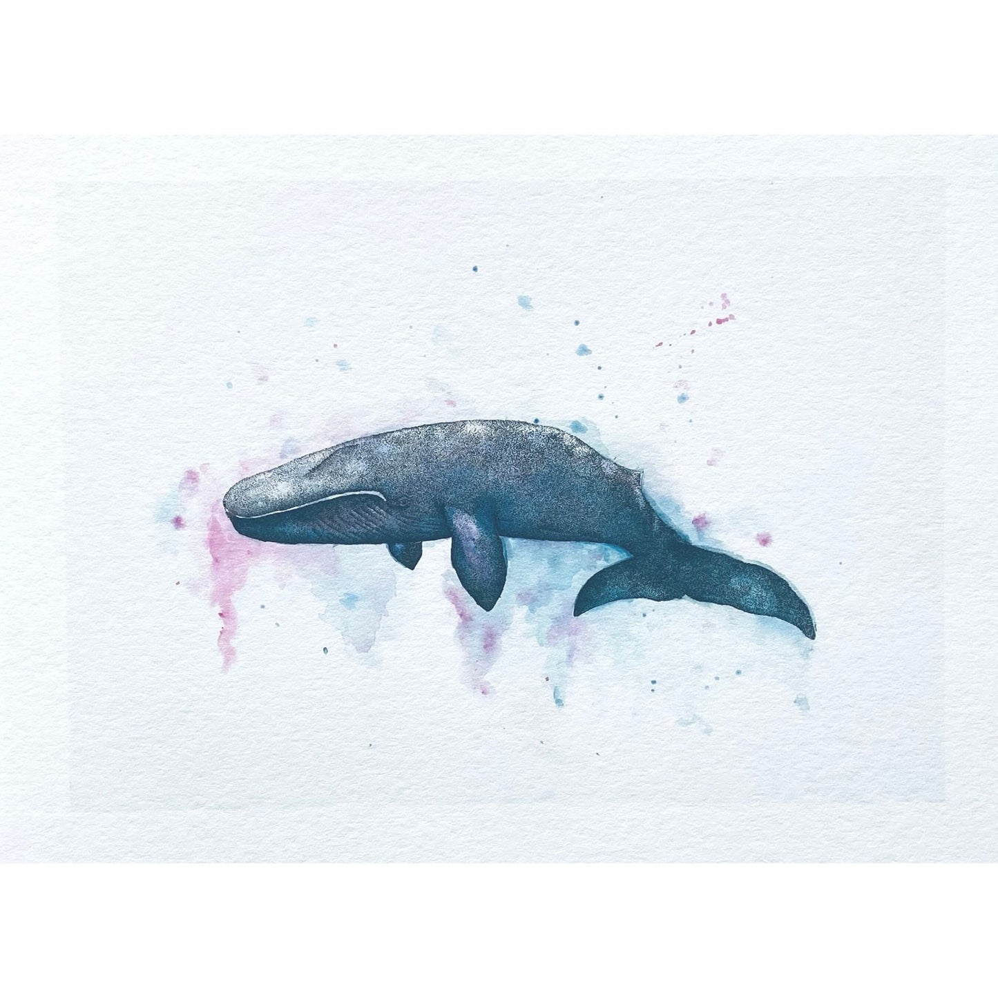 Blue Whale Original Art
