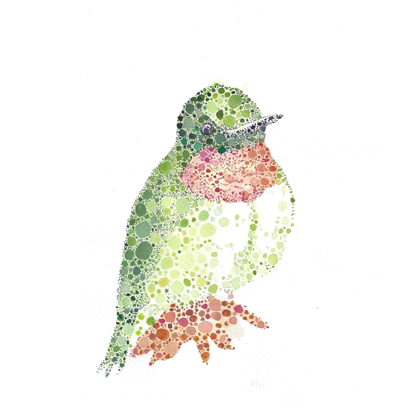 Watercolour Bird Cards