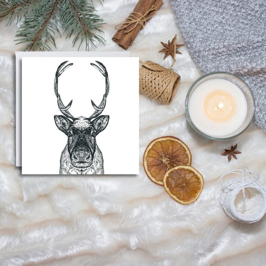 Woolly Remy the Reindeer Greeting Card