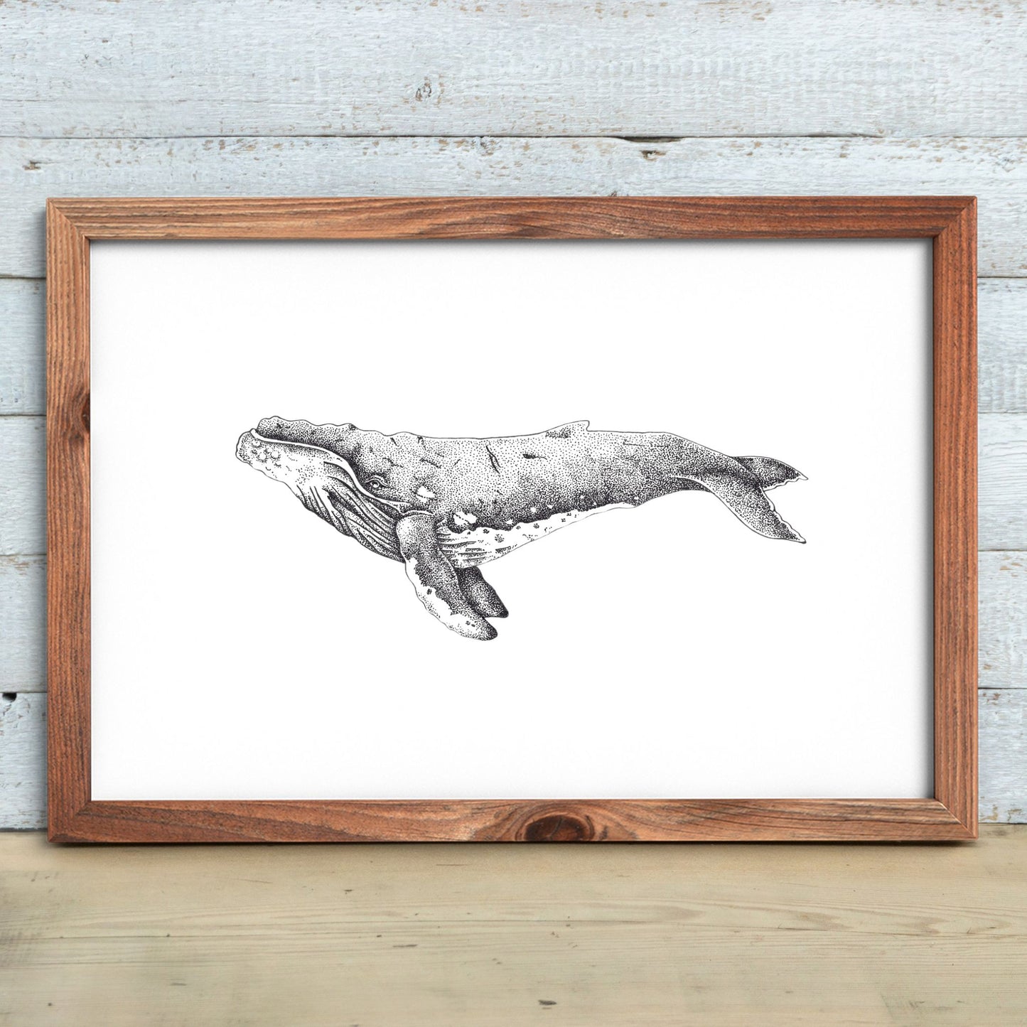 Humpback Whale Print
