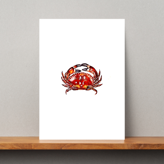 Crab Watercolour Print