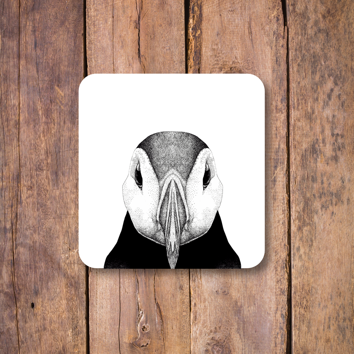 Puffin Coaster