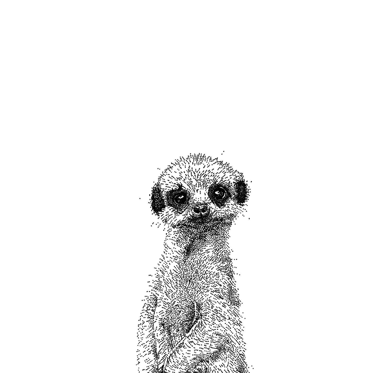 Meerkat Greeting Card