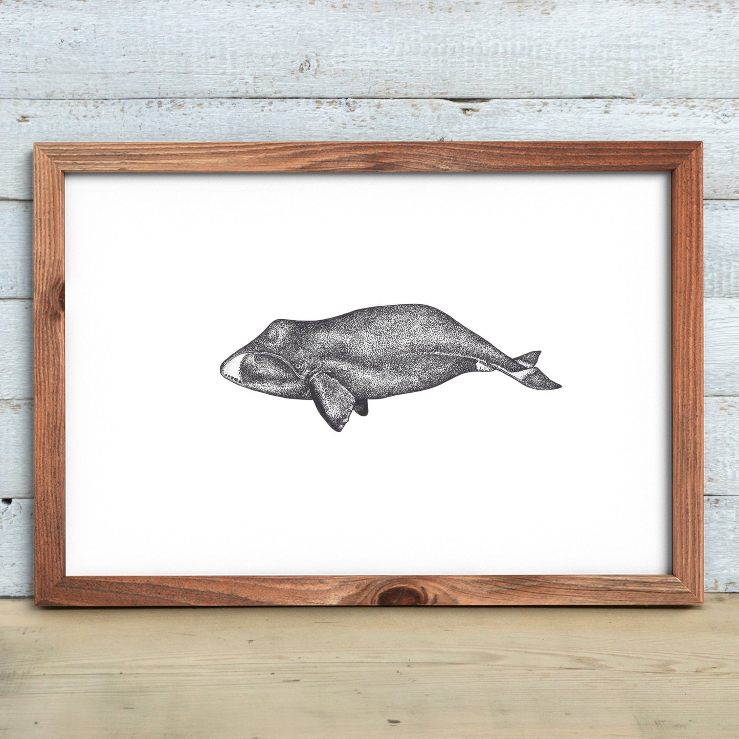 Bowhead Whale Print