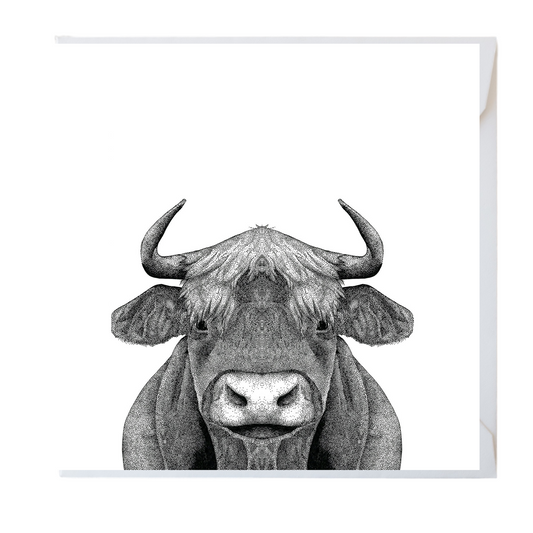 Cow Greeting Card