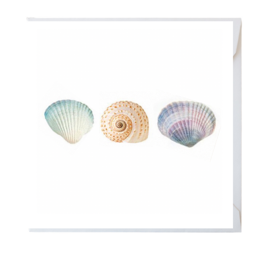 Shells Card