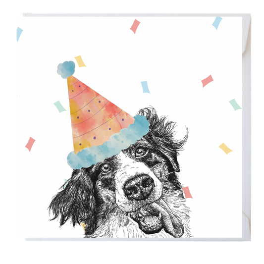 Border Collie Party Greeting Cards