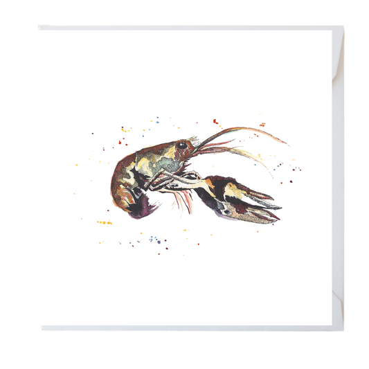 Shrimp Watercolour Card