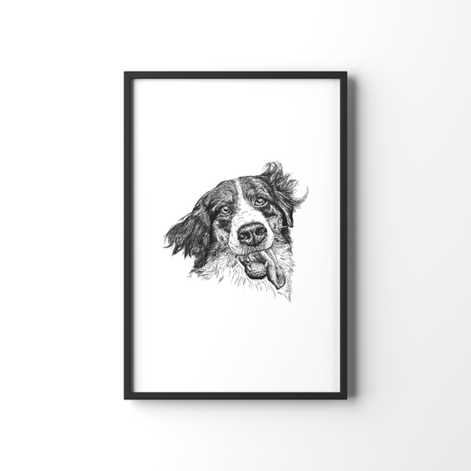 Funny Dog Print