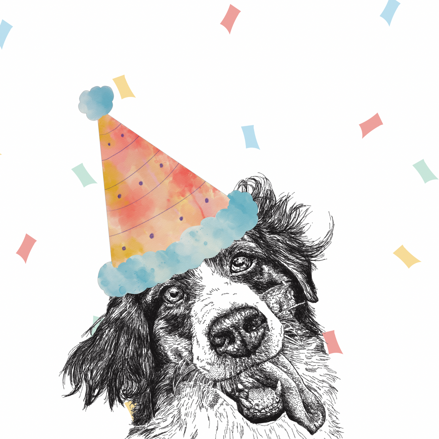 Border Collie Party Greeting Cards